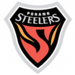 Logo of the Pohang Steelers